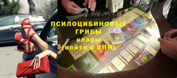 молекула духа Алексеевка
